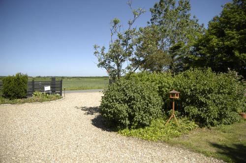 Henne Strand Ferie Accommodation - image 5