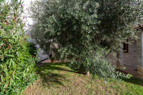 Holiday house with a parking space Valtura Pula - 16611 - image 4