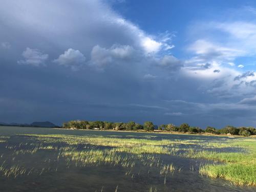 Lapwing Lake Villa