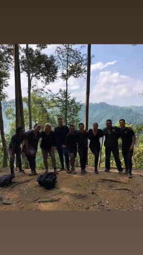 Orang Utan Jungle hiking