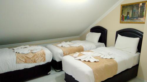 Tolga Hotel - image 3