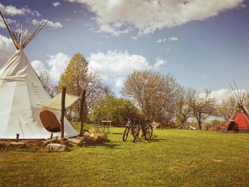 Apkārtne, Romantic Wildlife & Stars Teepee Experience Apuseni Mountains in Sunksujusa