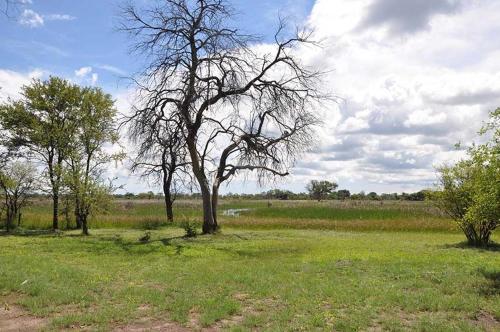 Livingstone's Camp in Katima Mullo