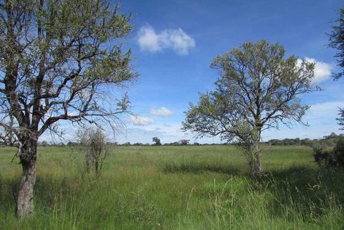 Livingstone's Camp in Katima Mullo