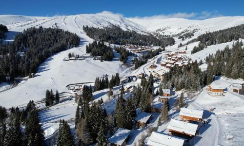 Almhaus Chalet Lachtal