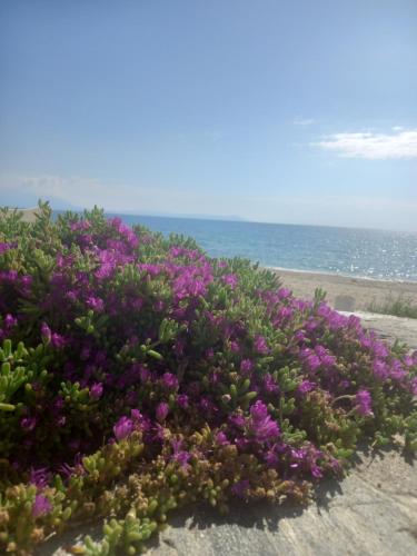  Rhapsody house in Nea Vrasna