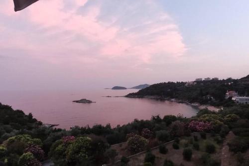 Beach apartment Beach apartment