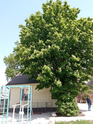 Guest House Prohladnoe