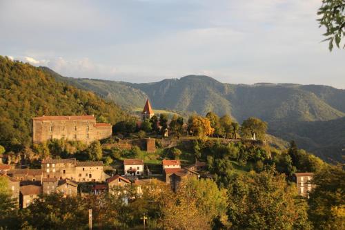 Gîte Âne - Location saisonnière - Saint-Privat-d'Allier