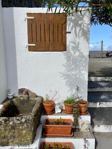 Pátio Lodge - image 11
