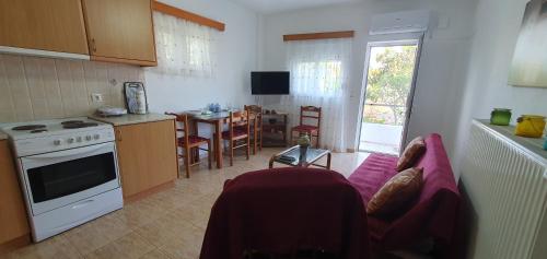 Ailamakis Apartements - Παρασπόρι