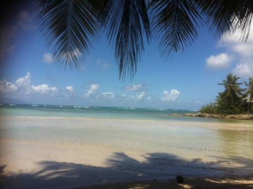 Au bord de mer in Grand-Bourg
