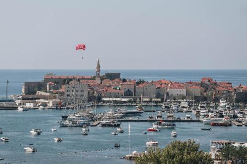 Apartment Mimosa of Tre Canne