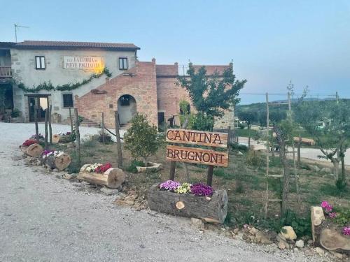 Fattoria di Pieve Pagliaccia - Cantina Brugnoni