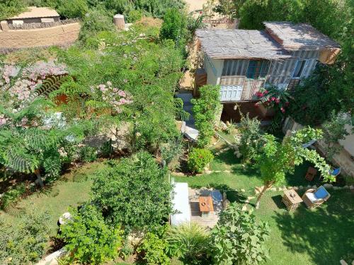 The Roof by Barefoot in Tunis
