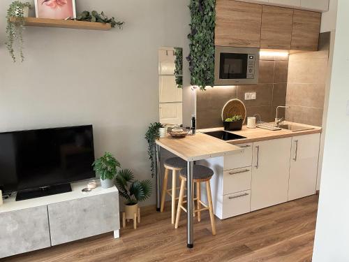 Konyha, Balaton Breeze Apartman in Fonyód