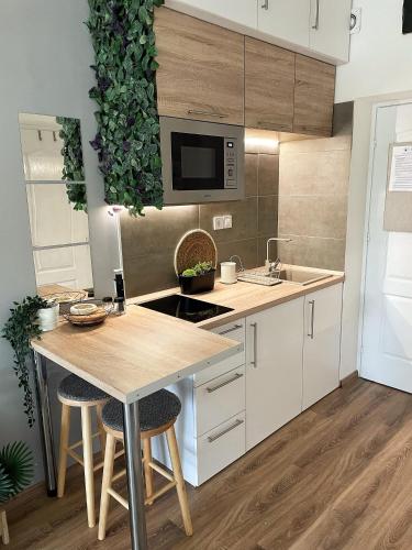 Konyha, Balaton Breeze Apartman in Fonyód