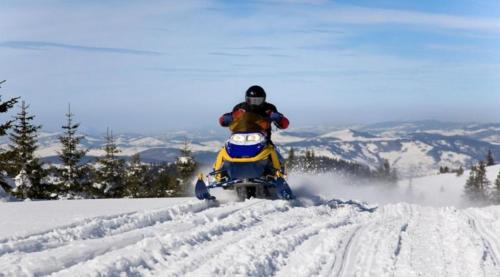 Chalets Alpins - 11 Chemin des Skieurs