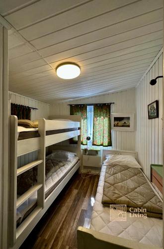 Summer Cabin Nesodden sauna, ice bath tub, outdoor bar, gap hut