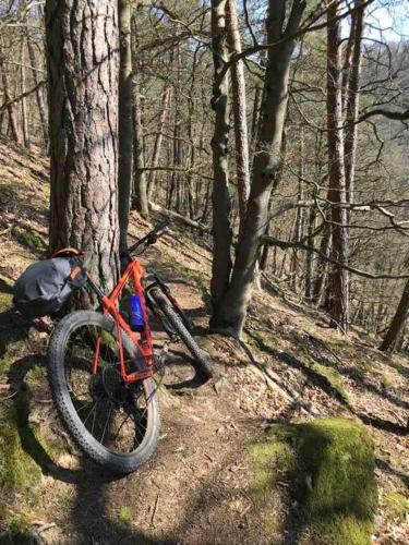 Fachwerkhaus im Sauerland - Goldhase Anno 1700