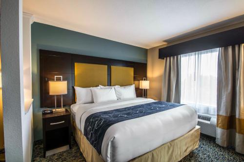 凱富套房酒店 - 羅德岱堡機場南遊艇港 (Comfort Suites Fort Lauderdale Airport South & Cruise Port) in 戴尼亞海灘