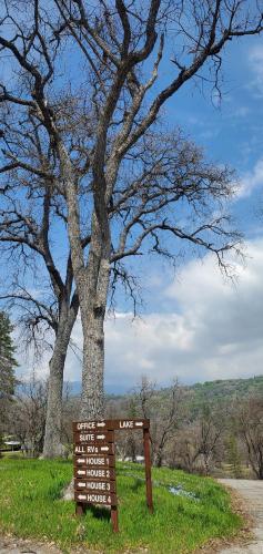 Sequoia Resort - image 11
