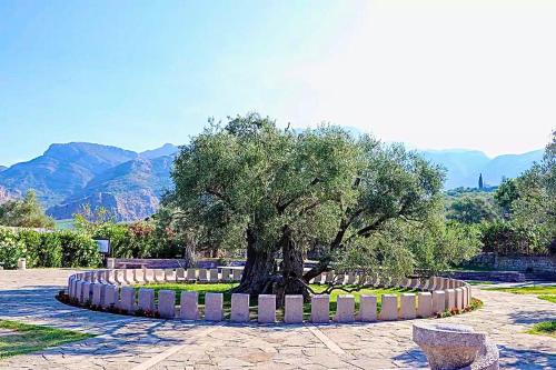 ที่เที่ยวใกล้ที่พัก, Old Town Bar Apartments in สตาริ บาร