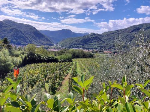 Agriturismo Tenuta La Fratta