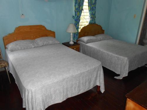 Tropical Vibe Hostel Kingston - Near Half-Way-Tree in Кингстон