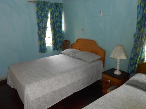 Tropical Vibe Hostel Kingston - Near Half-Way-Tree in Кингстон