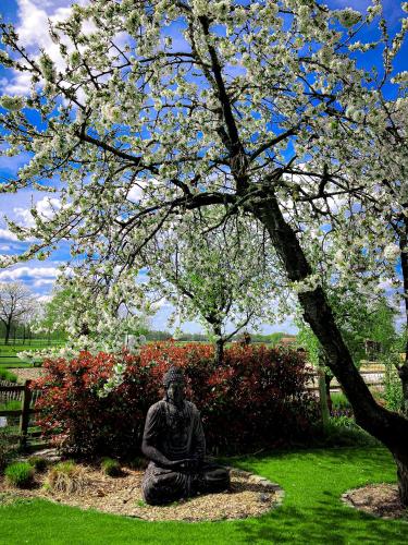  De Worfthoeve in Geel