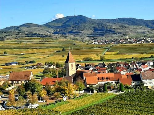 Ferienwohnung "Am Blauwasser" mit Infrarotkabine Ferienwohnung "Am Blauwasser" mit Infrarotkabine