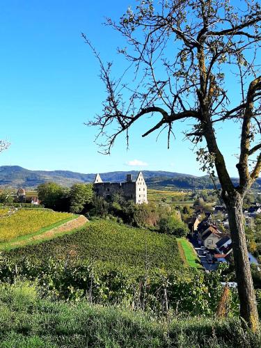 Ferienwohnung "Am Blauwasser" mit Infrarotkabine Ferienwohnung "Am Blauwasser" mit Infrarotkabine