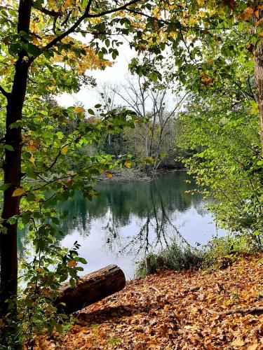 Ferienwohnung "Am Blauwasser" mit Infrarotkabine Ferienwohnung "Am Blauwasser" mit Infrarotkabine