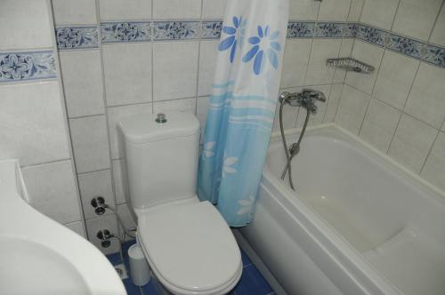 Alin Hotel - image 14