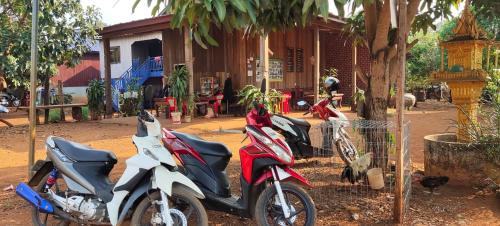 Tree Trails Homestay & Offers Jungle Trekk-Scooter For Rental