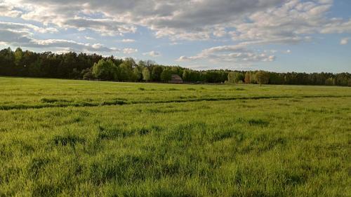 Kolorowe Wzgórze agroturystyka i konie - Trojanów