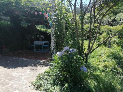 花園, Casita de campo cerca de playas. in 坡里歐