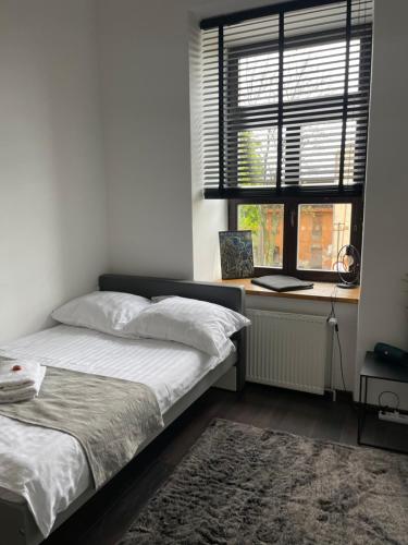 Apartament w Centrum przy Studni 102m2