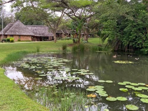 Kruger Park Lodge, Kubu Lodge 224