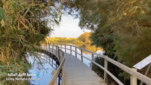 Azraq Lodge