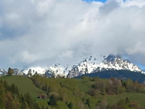 Quadruple Room with Mountain View