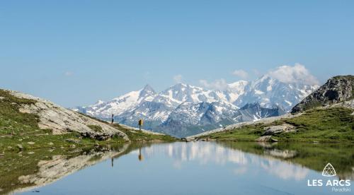 ALPS les ARCS 1950 Prince des Cimes, ski-in out,swimming pool, sauna, shoes dryer