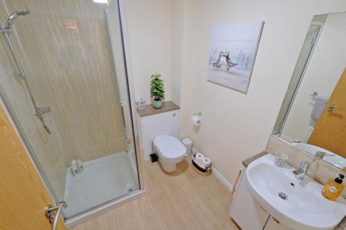 Netherhills Apartment - image 12
