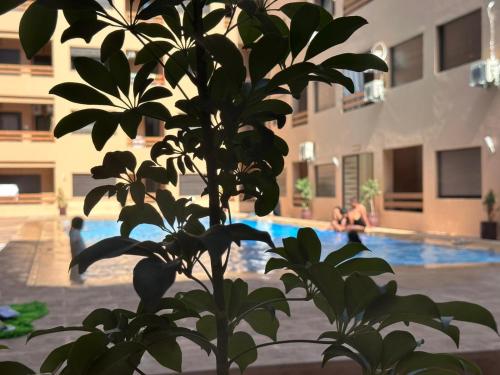 Ennour HOME PISCINE - Accommodation - Marrakech