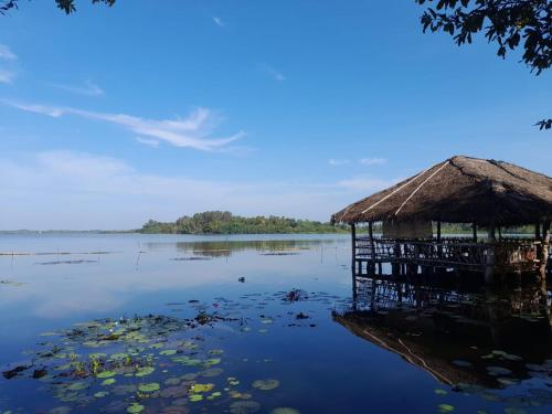 . Lake Resort Bolgoda