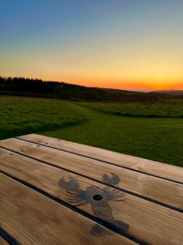 Pentire Coastal Holiday Park - main image
