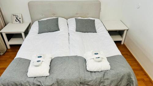 赫尔辛基芬兰公园酒店