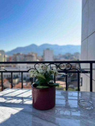 Mozart House - Spacious Luxury Apartment - Heart of the City, Tirana (photo 10)