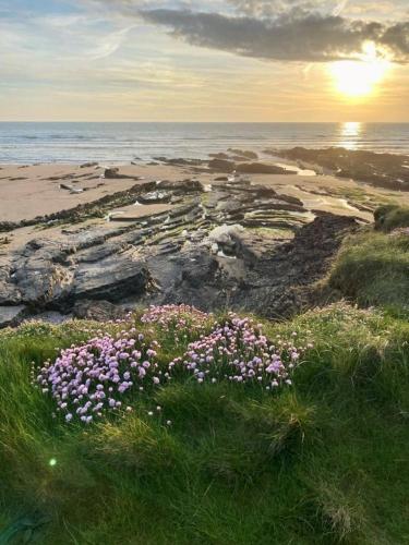 Pentire Coastal Holiday Park 5